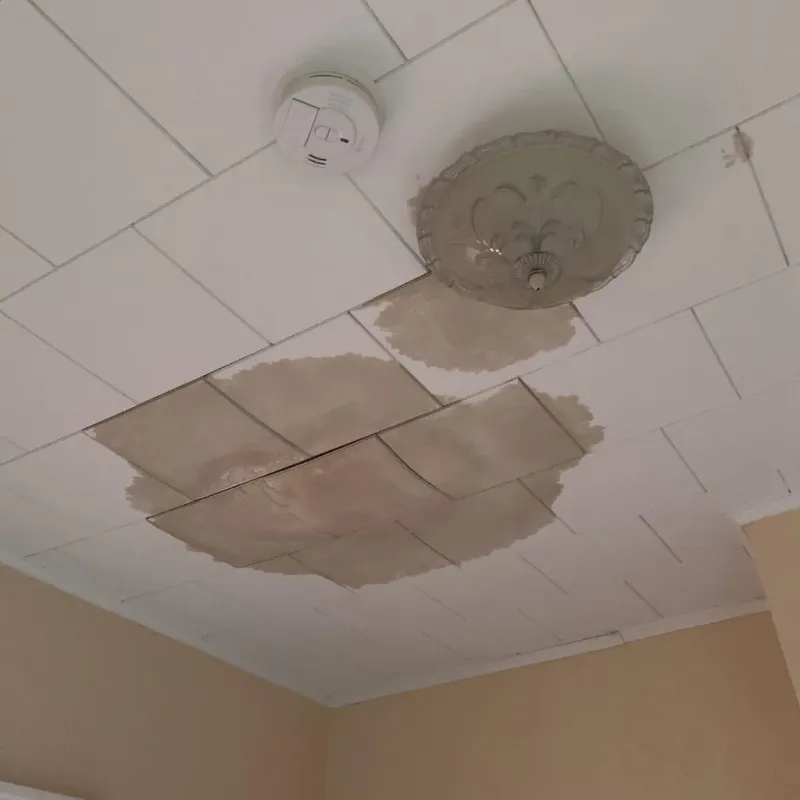 Ceiling Water Damage Repair in Bunche Park, FL